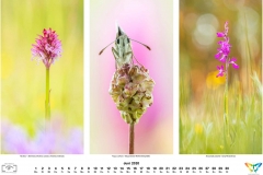 2020_natur-6