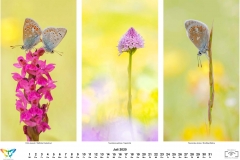 2020_natur-7