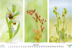 2020_natur-8