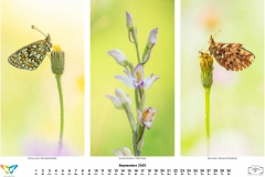 2020_natur-9
