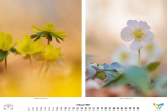 kalender_2021_03