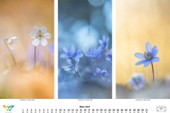kalender_2021_04