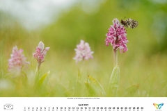 kalender_2021_05