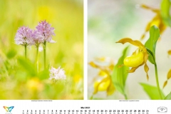 kalender_2021_06