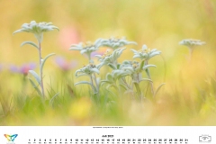 kalender_2021_08