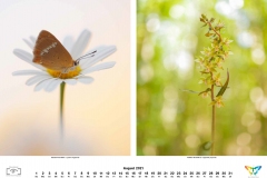 kalender_2021_09