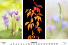 kalender_2021_10