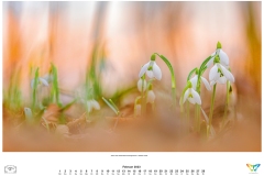 kalender_2023_natur.indd