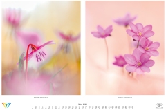 kalender_2023_natur.indd