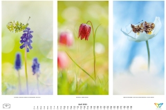 kalender_2023_natur.indd