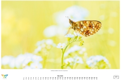 kalender_2023_natur.indd