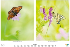 kalender_2023_natur.indd