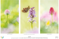 kalender_2023_natur.indd