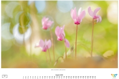 kalender_2023_natur.indd