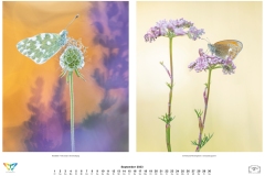 kalender_2023_natur.indd