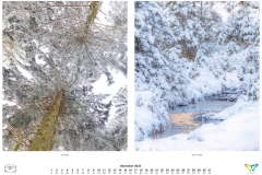 kalender_2023_natur.indd