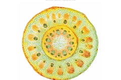 2026_micro_09