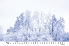 2024_natur_01