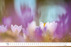 2024_natur_02