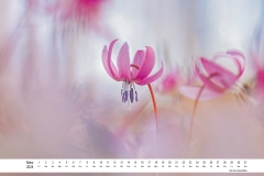 2024_natur_03