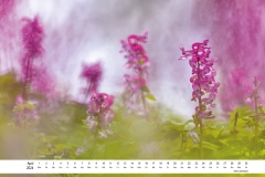 2024_natur_04