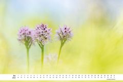 2024_natur_05