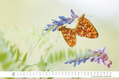 2024_natur_06