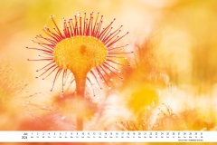 2024_natur_07