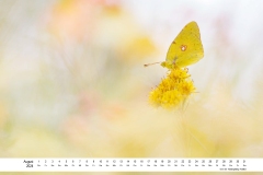 2024_natur_08