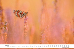 2024_natur_09