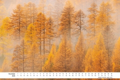 2024_natur_11
