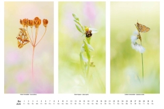 2026_natur_05