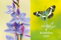 2027_natur_00