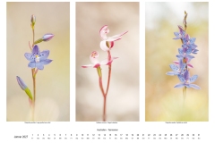 2027_natur_01