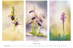 2027_natur_02