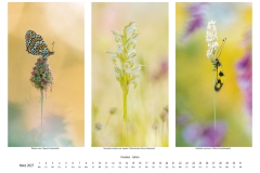 2027_natur_03