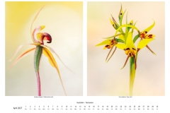2027_natur_04