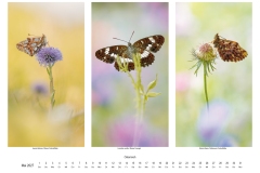 2027_natur_05