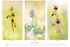 2027_natur_06