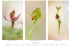 2027_natur_07