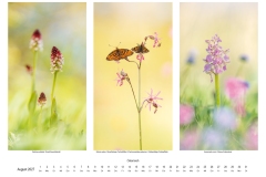 2027_natur_08