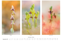 2027_natur_09