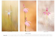 2027_natur_10