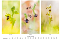 2027_natur_11