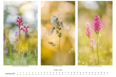 2027_natur_12